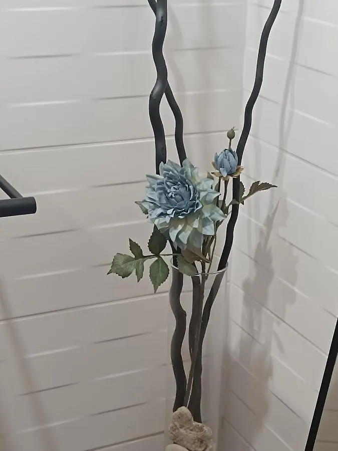 Apartament Anfiteatre Roma Tarragona Spain